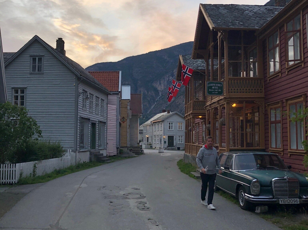 Laerdalsoren Hotel主图