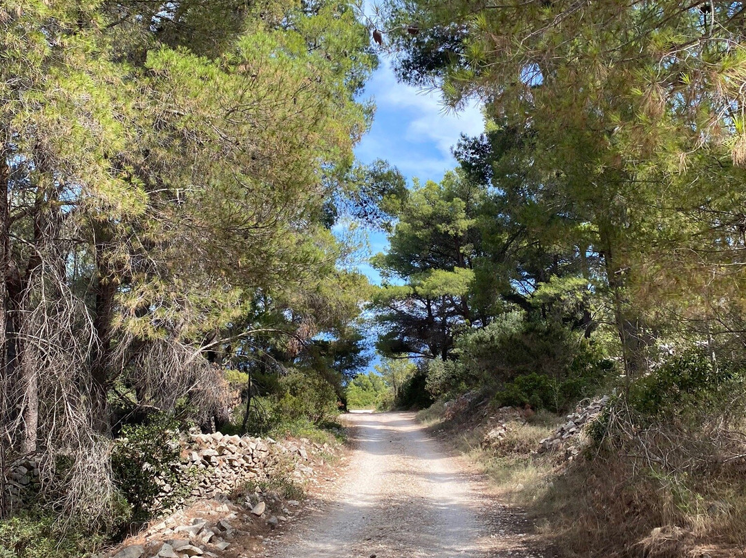 Peninsula Raznjic景点图片