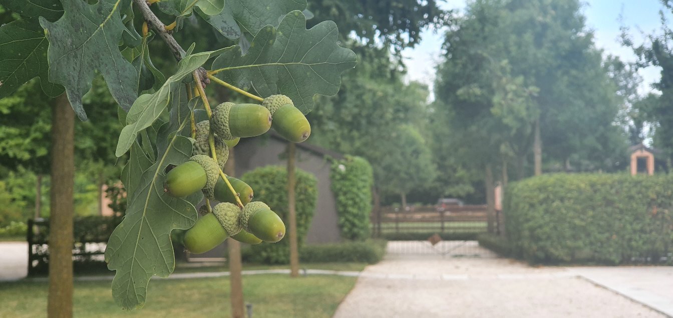 Fiori & Frutti Resort di Campagna-官方
