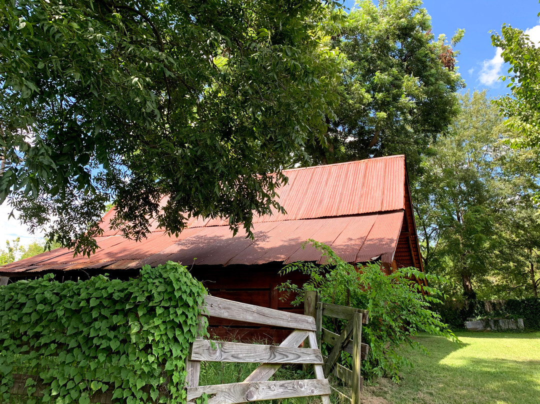 Northeast Texas Rural Heritage Museum-Pittsburg必去景点