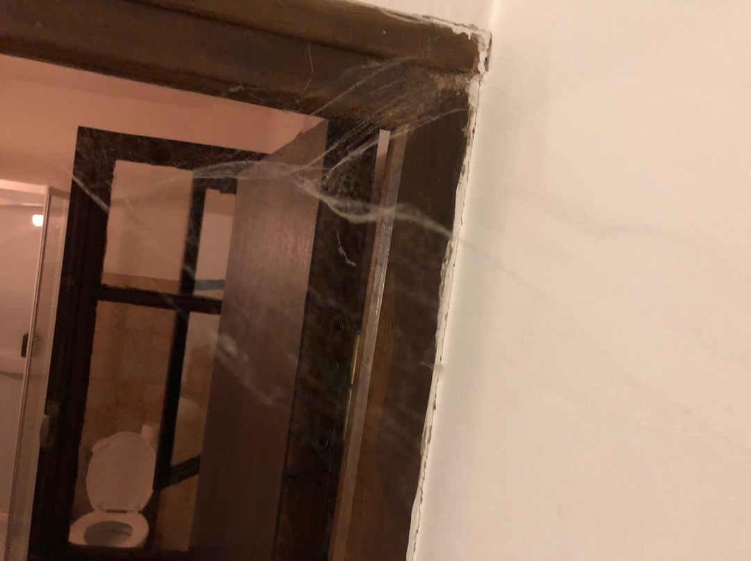 La Ciucciarella主图