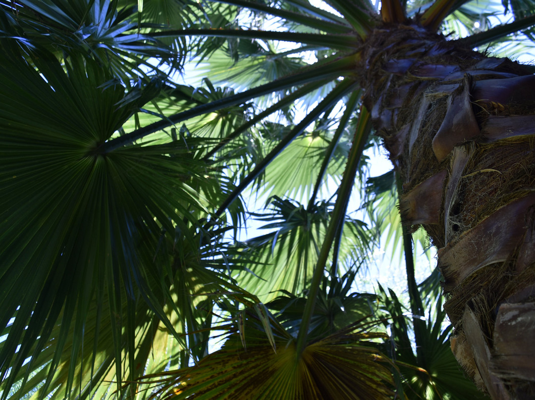 Lourd Mary Hotel主图