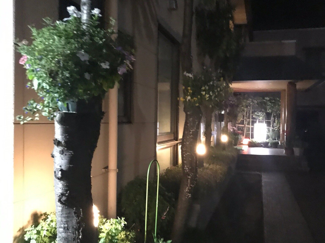 Business Hotel Tansen