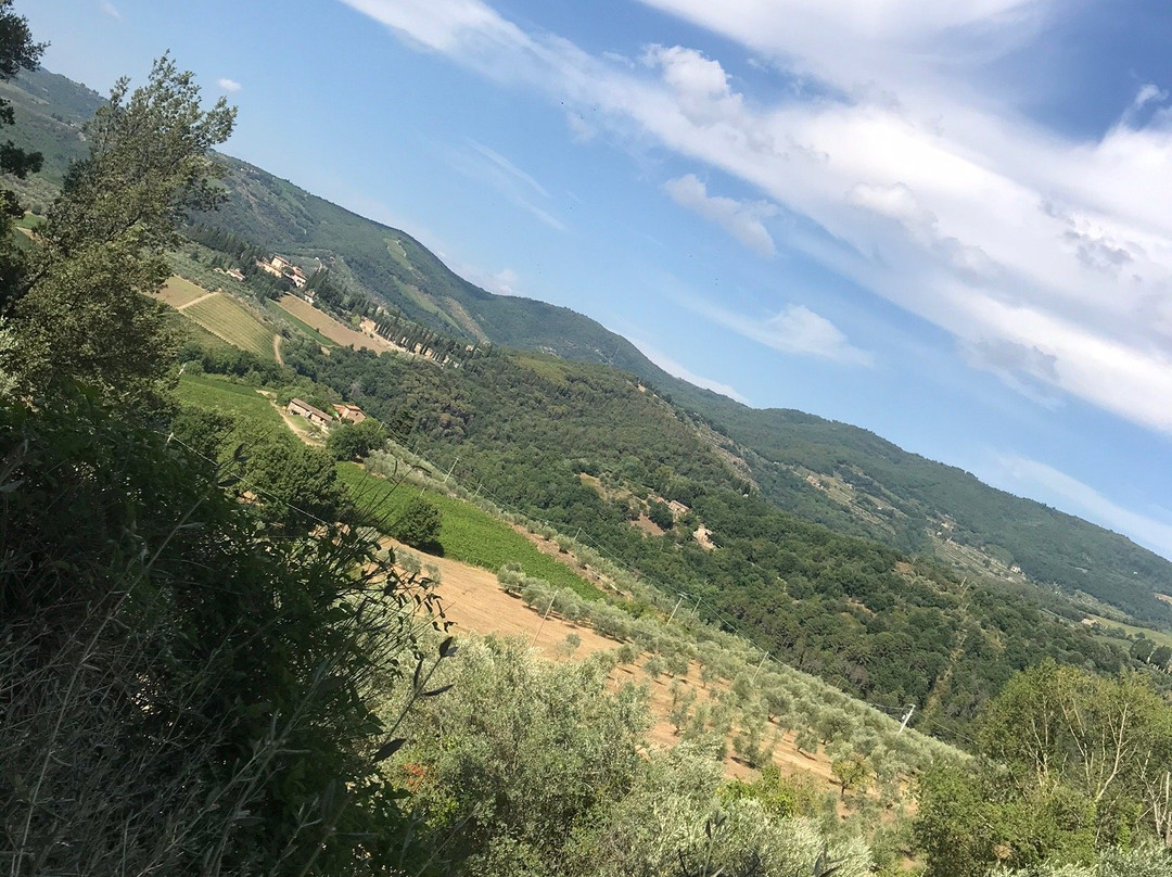 Il Casello Country House主图