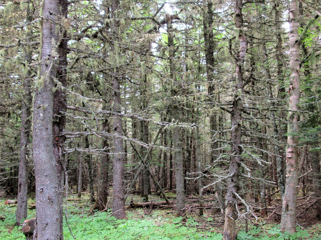 Parc National du Bic-Le Bic必去景点