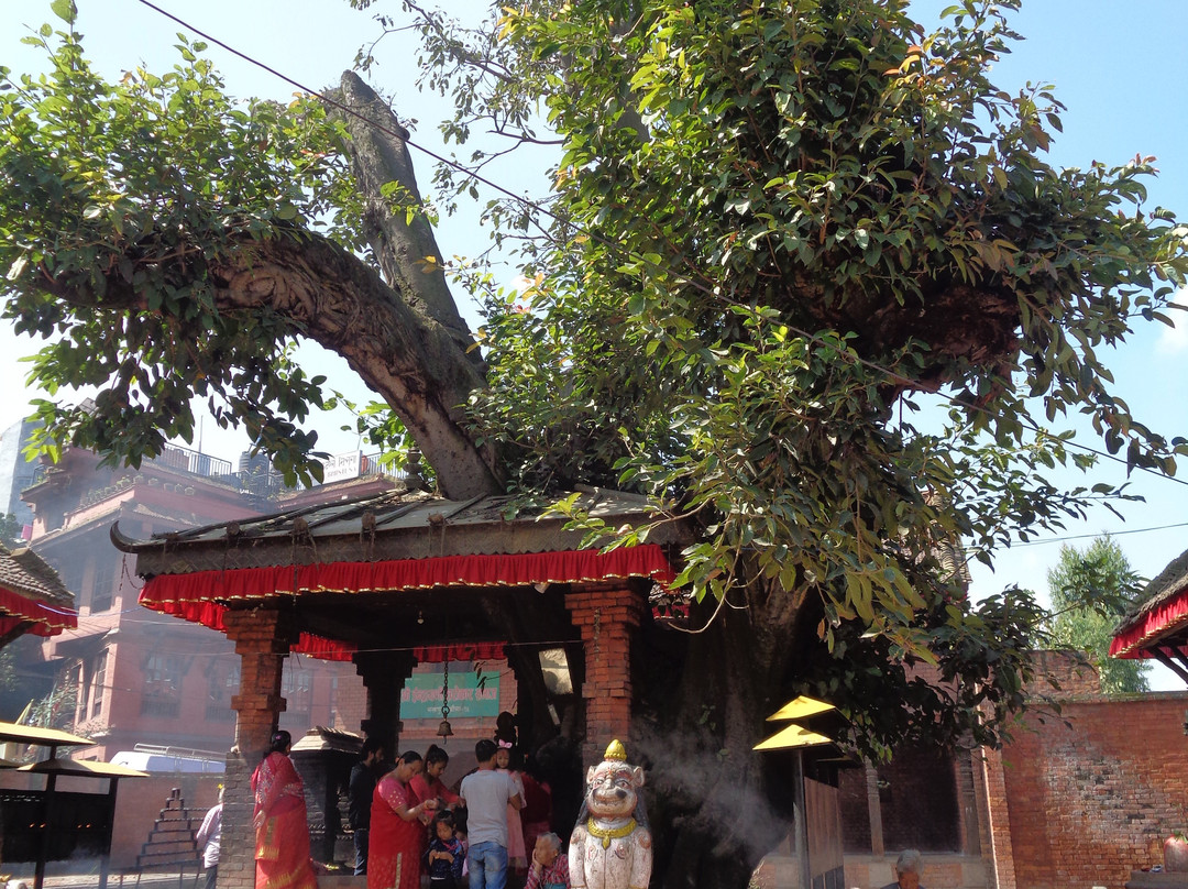 Indrayani Temple-巴克塔布必去景点