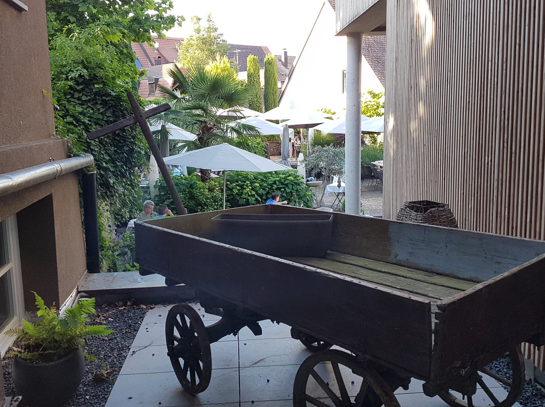 Hotel Die Reichsstadt主图