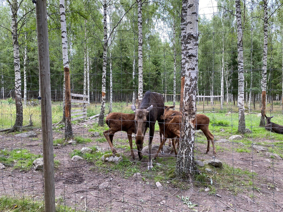 Långshyttans Algpark景点图片