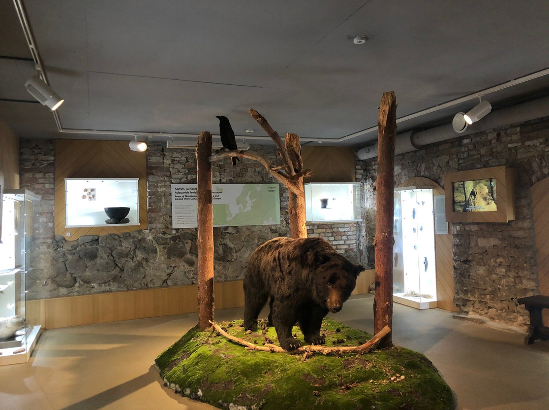 Pärnu Museum-派尔努必去景点