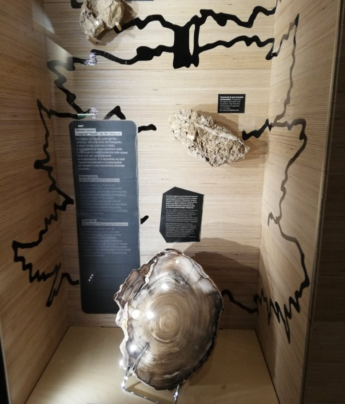 Geological Museum of the Dolomites景点图片