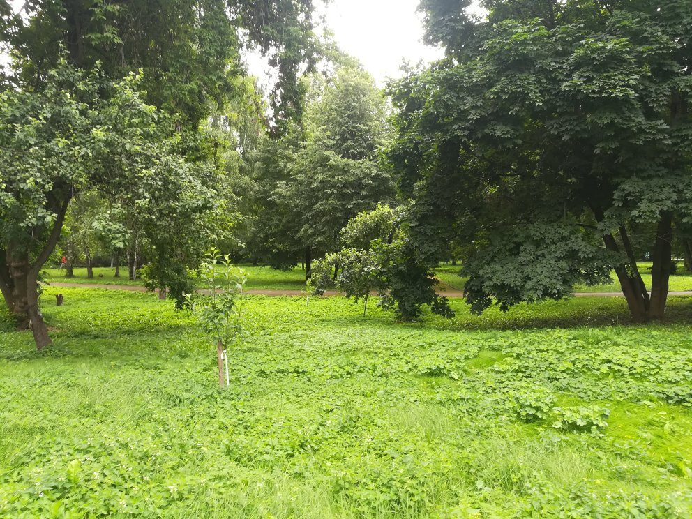 Podolye Museum Reserve景点图片