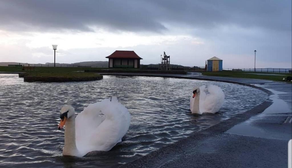 The Old Rectory主图