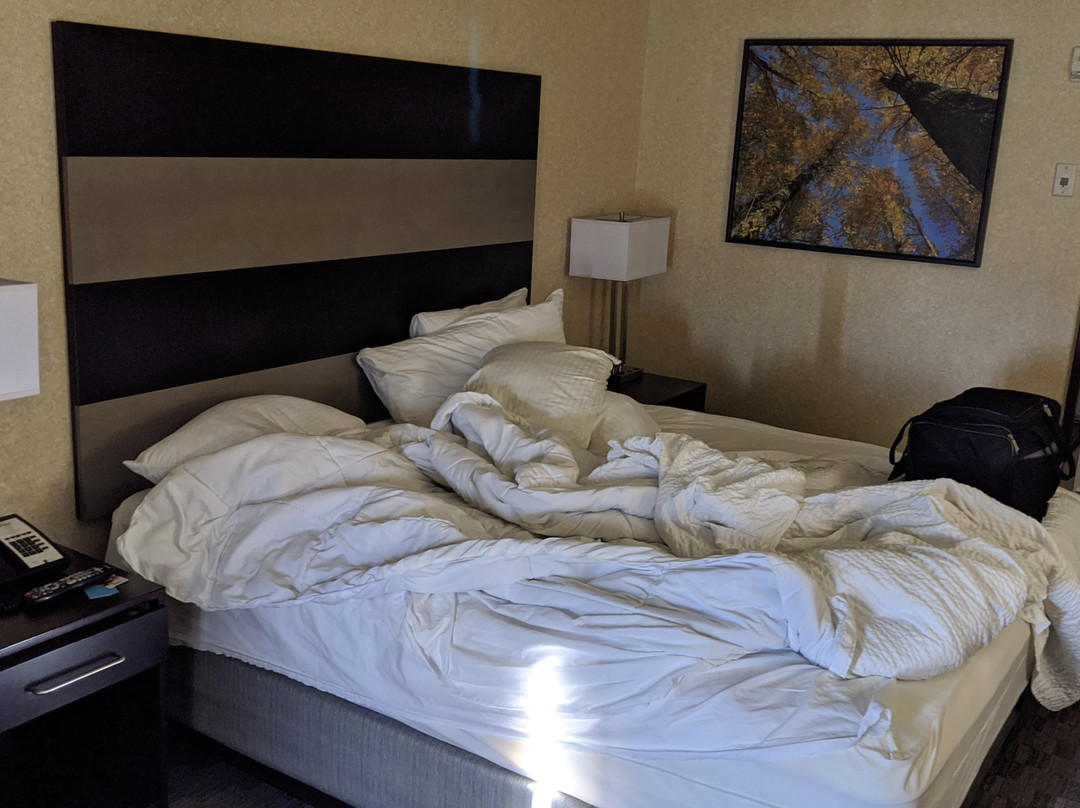 萨斯卡通戴斯酒店主图