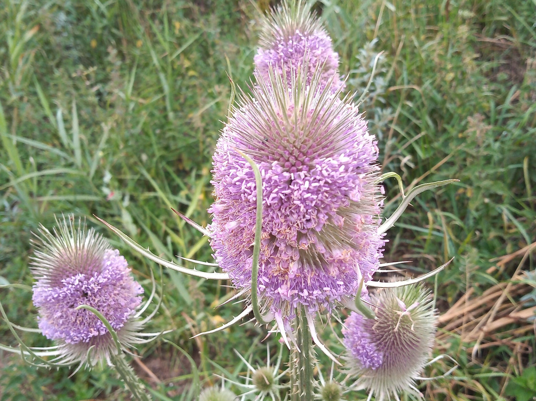 Round and Round House-Anderby Creek必去景点