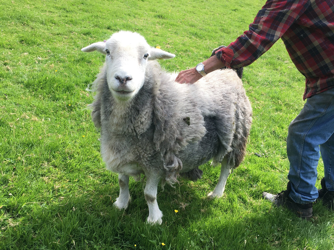 Crookabeck Bed & Breakfast主图