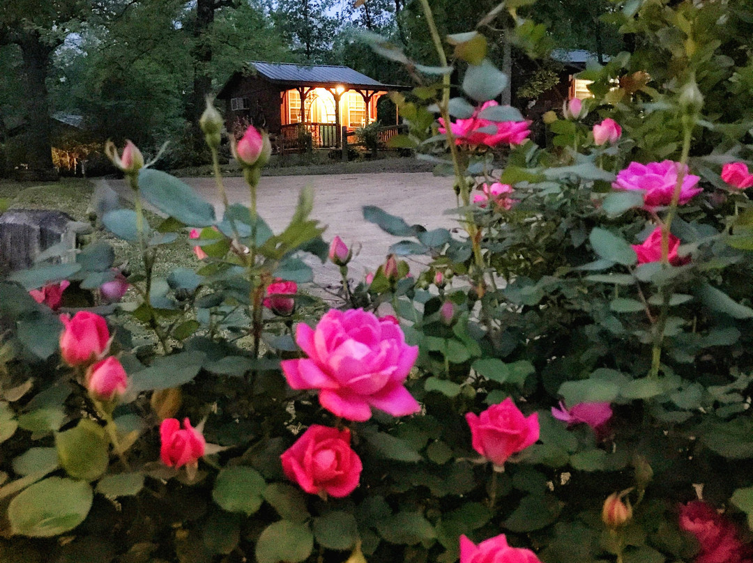 Sabor a Pasion Estate & Vineyard主图