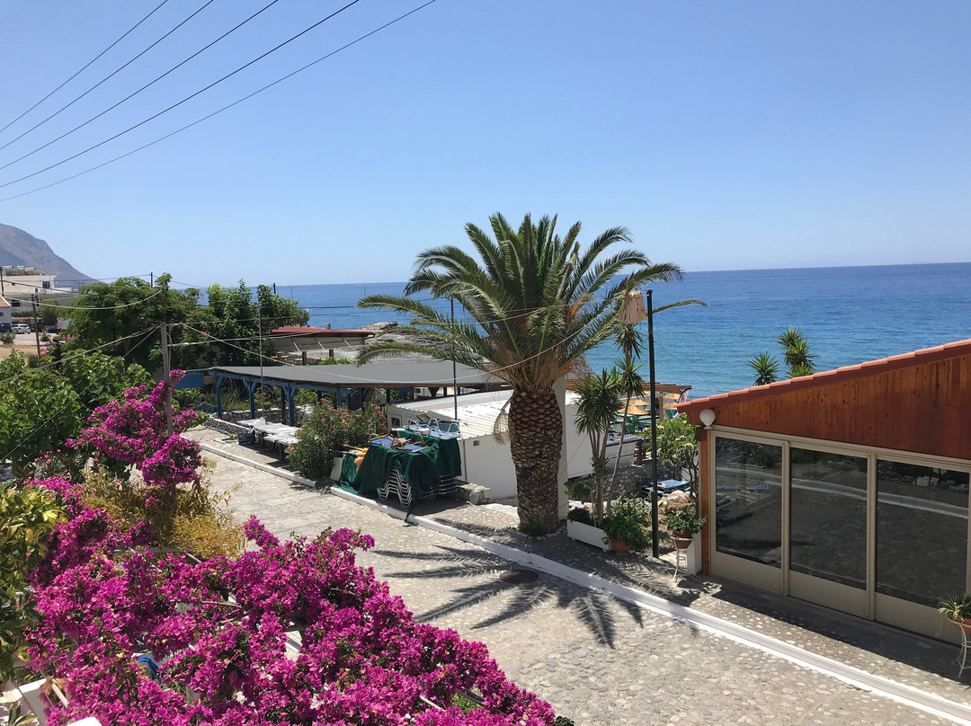 Agia Roumeli Hotel主图