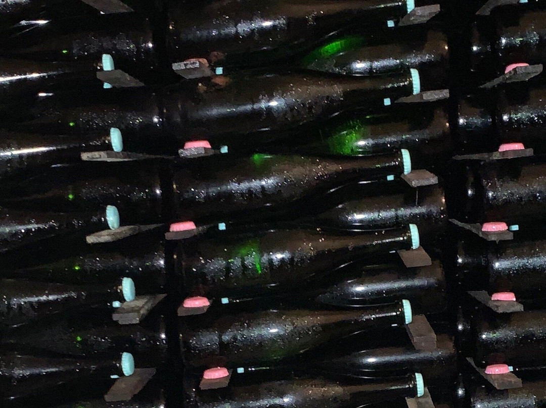 Champagne Jacquinot & Fils景点图片