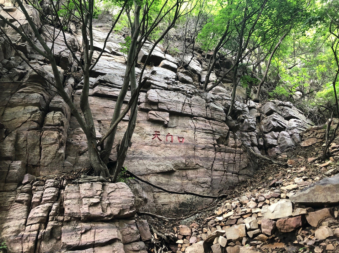 九山顶自然风景区-蓟县必去景点