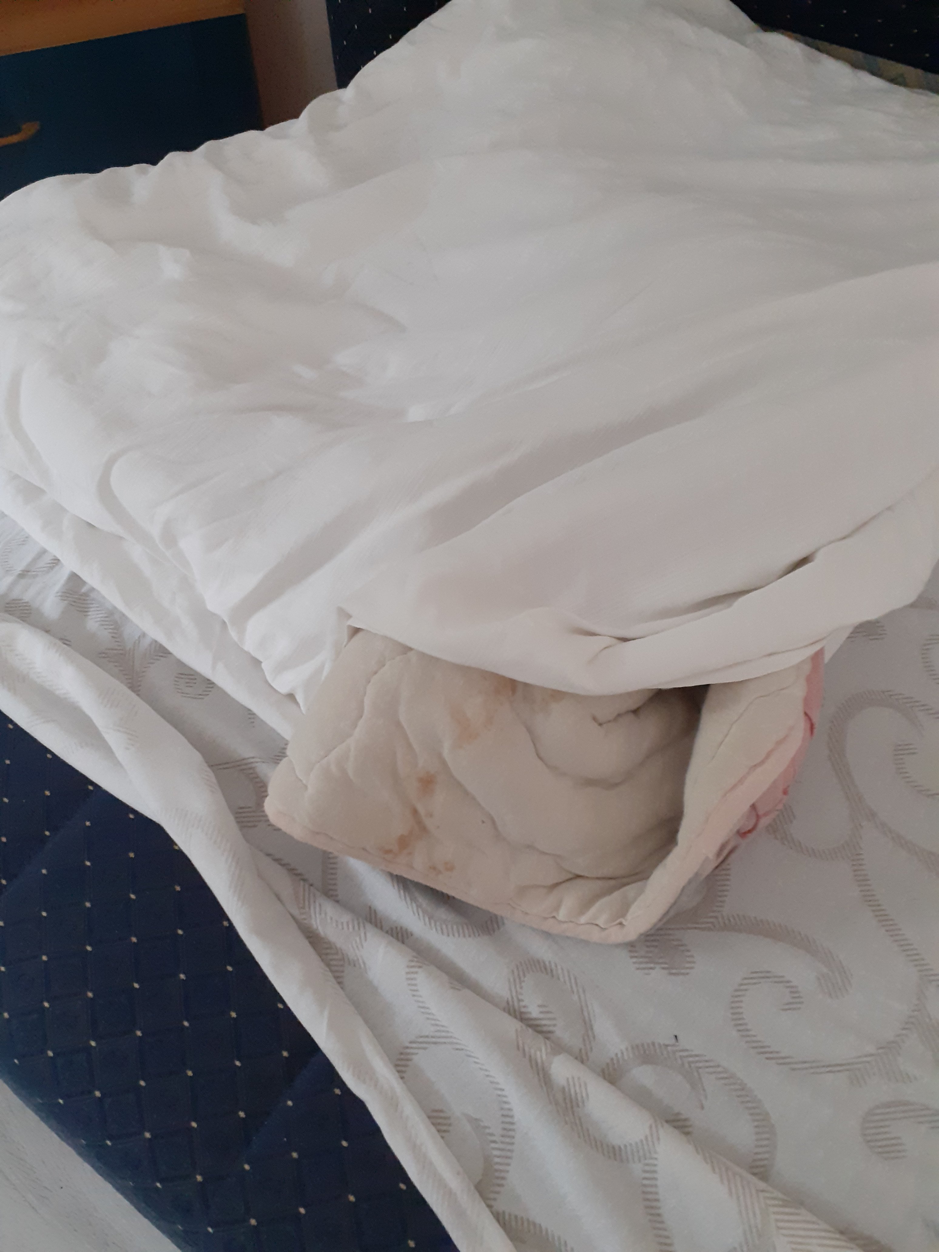 Ribarski Konaci-官方