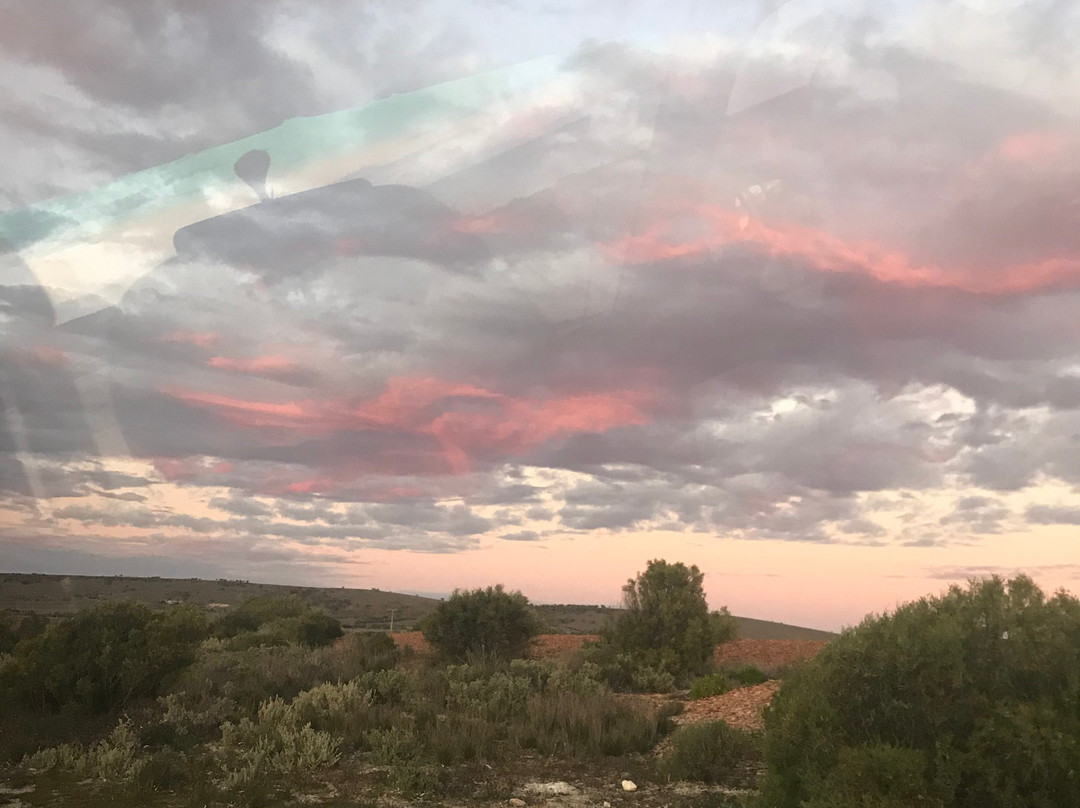 Fitzgerald Bay-Whyalla必去景点