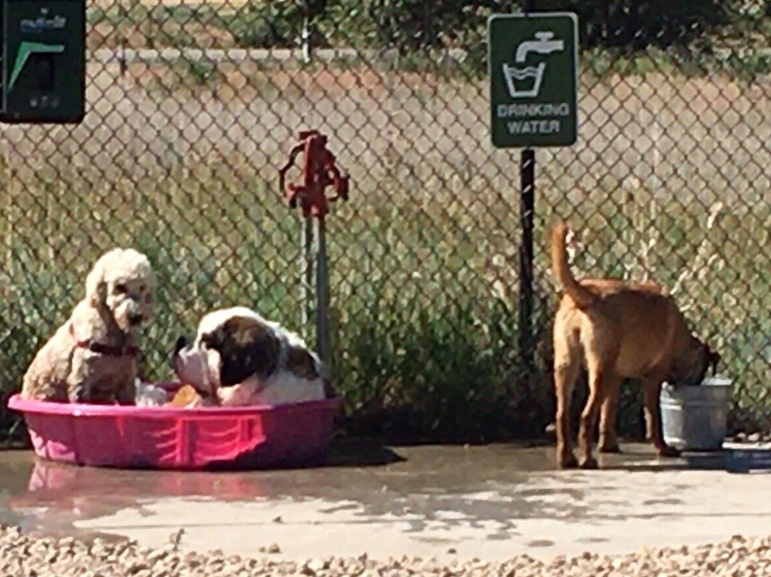 Midway City Dog Park景点图片