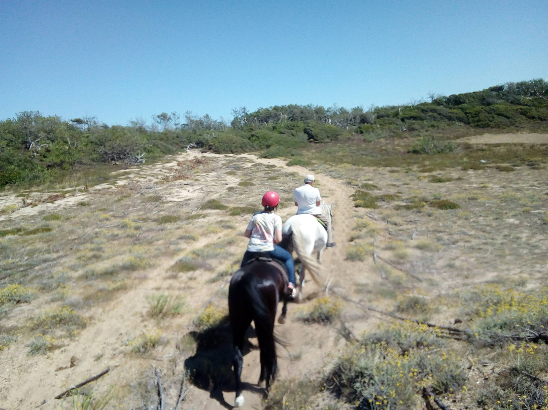 Centre Equestre de la Prade-Messanges必去景点