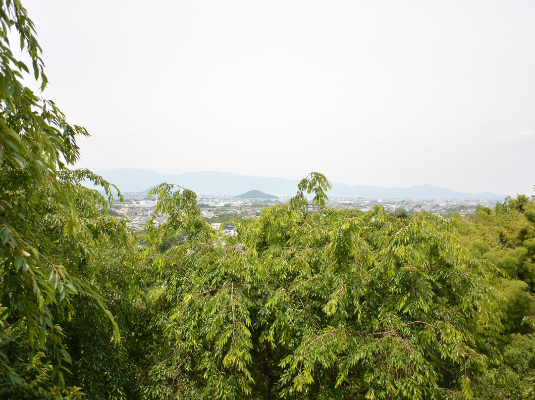 Omiwanomori Ｖiewingplatform-樱井市必去景点