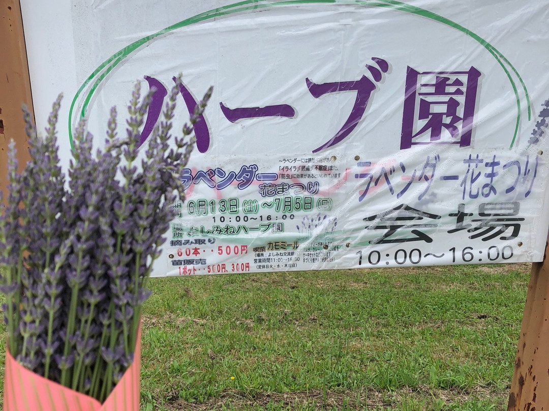 Green Park Yoshiime-立山町必去景点