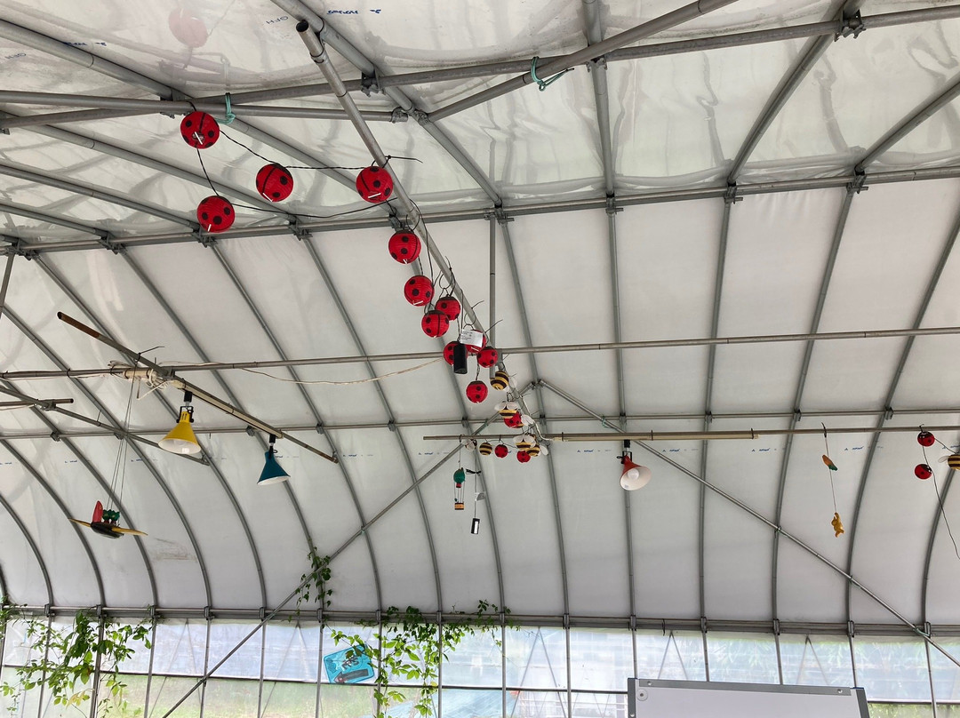 Kishii Farm-上尾市必去景点