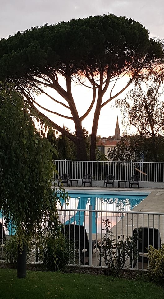Logis Hôtel Restaurant Spa le Rabelais-泳池