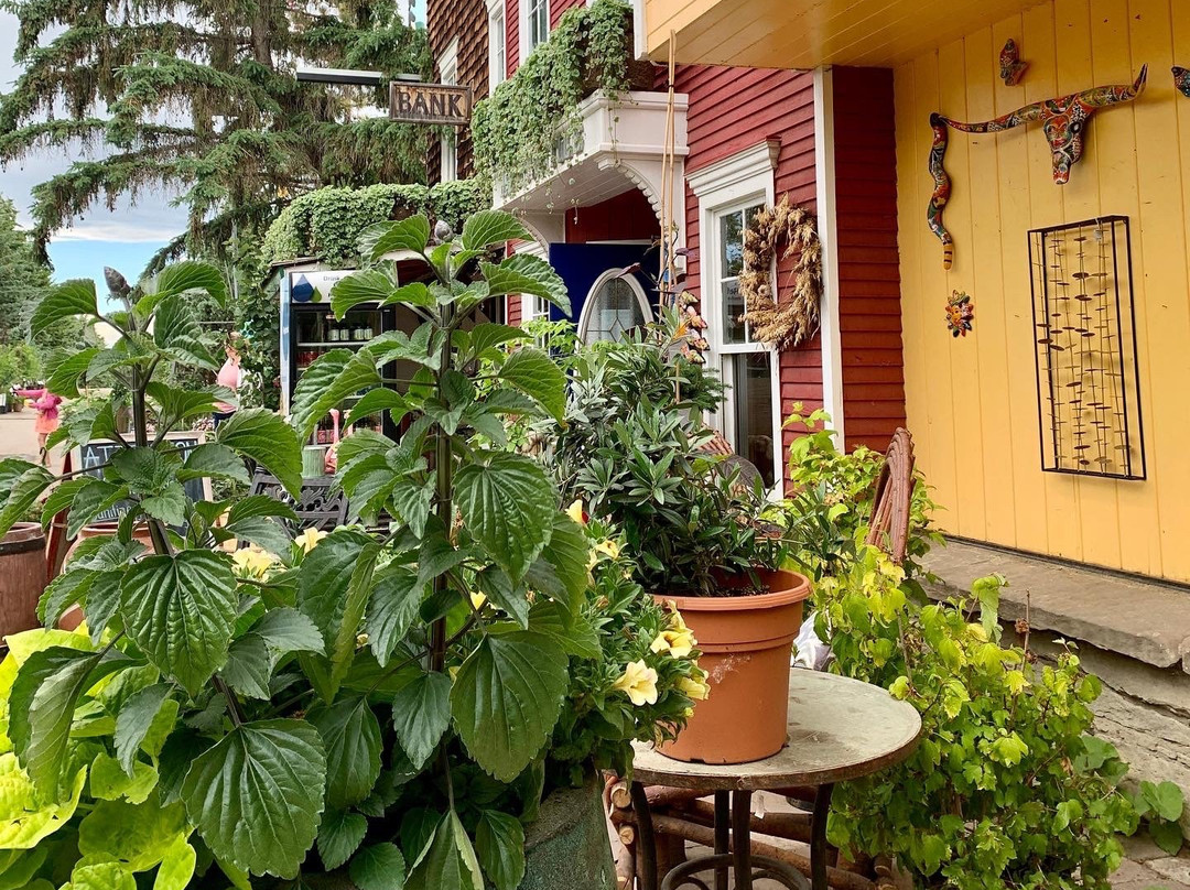 The Saskatoon Berry Farm-De Winton必去景点