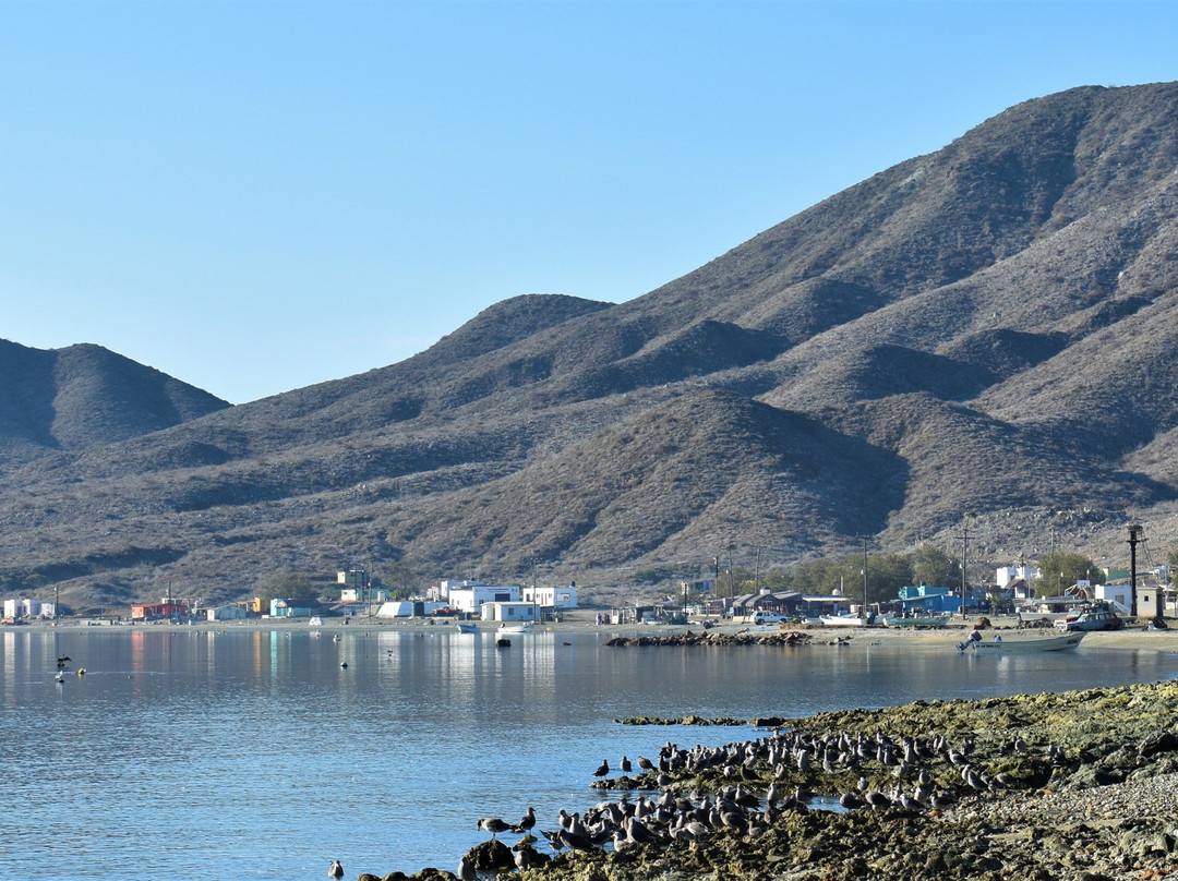 La Isla Lodge at Magdalena Bay景点图片