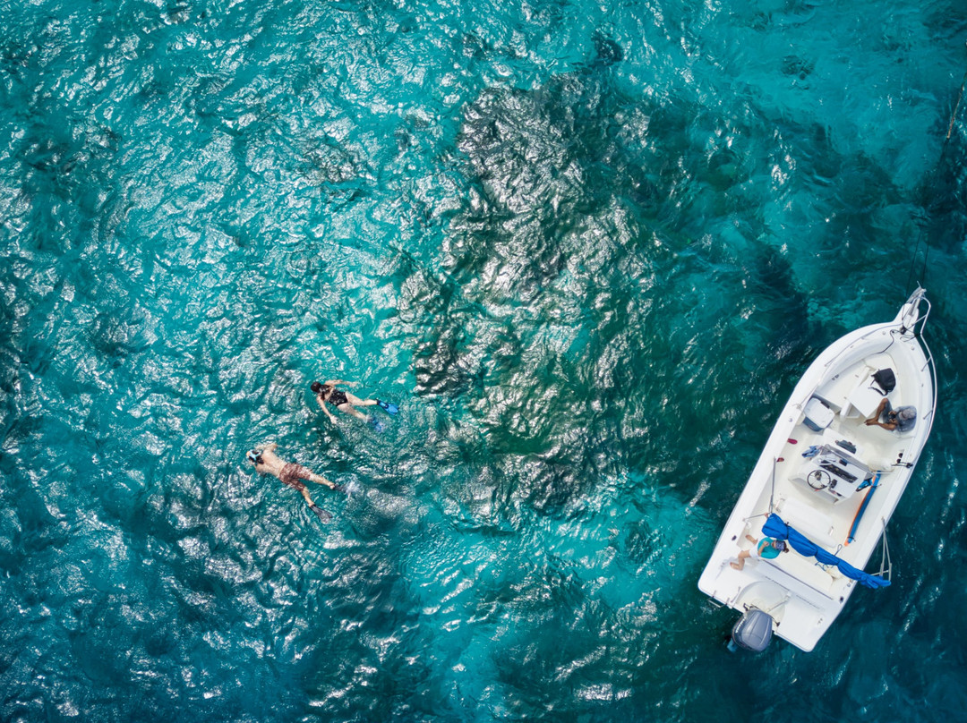 Trip and Treat VIP Boat Tours-威廉斯塔德必去景点