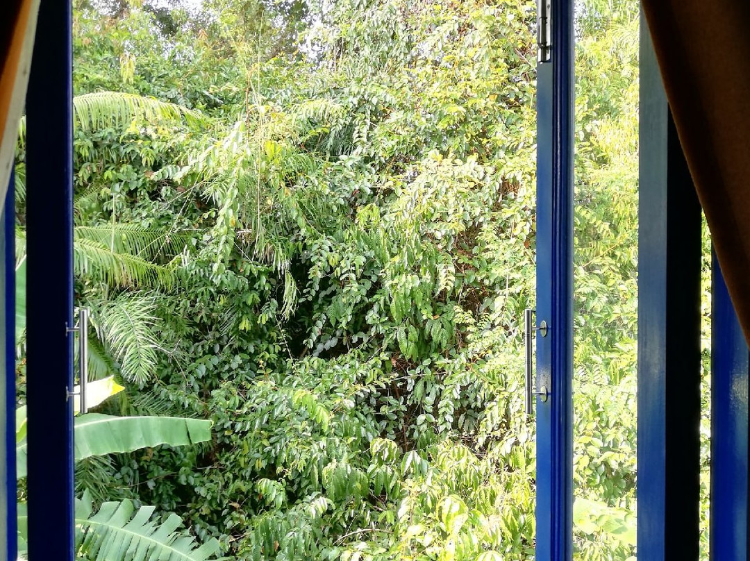 Isabella Resort主图