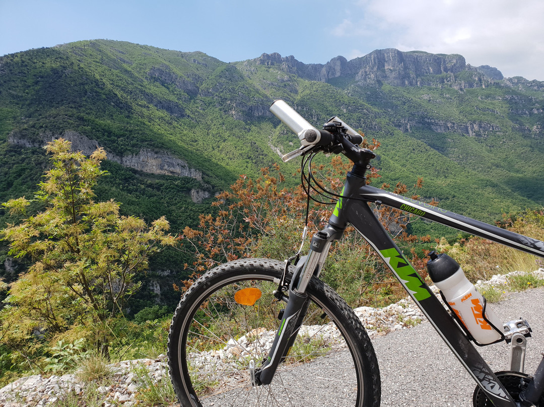 Cantone酒店住宿-Arve