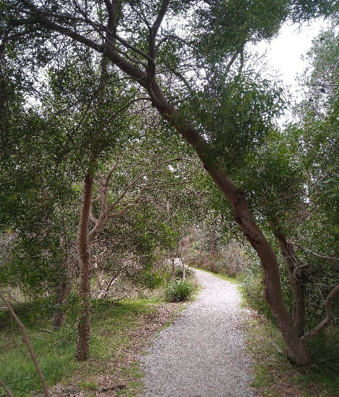 Conservation Hill Reserve景点图片