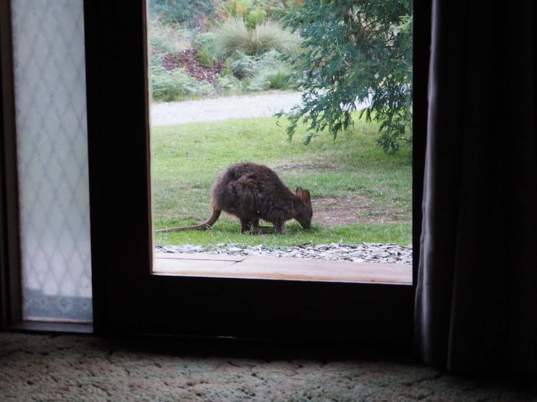 Mountain Valley Wilderness Holidays主图