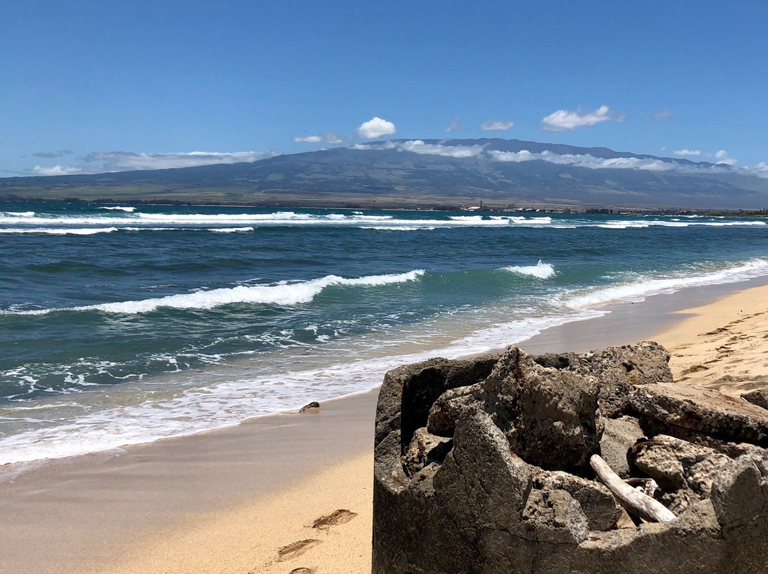 Waiehu Beach Park景点图片