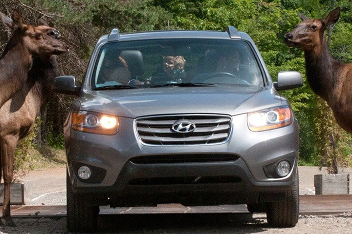 GANKOR TOURS-蒙特利尔必去景点