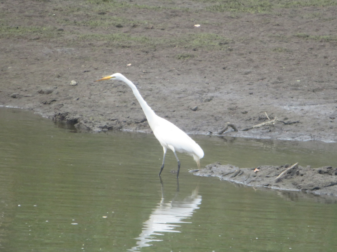 Riverfront Promenade-纳帕必去景点