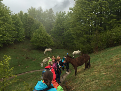 Enjoy Travel-地拉那必去景点
