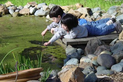 Placer Nature Center-Auburn必去景点