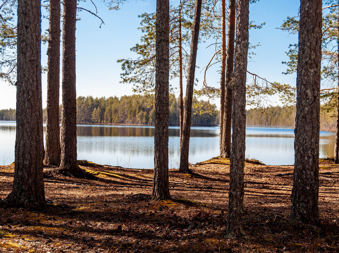 Fishingtrips Joensuu / Kalastusretket Joensuu-Joensuu必去景点