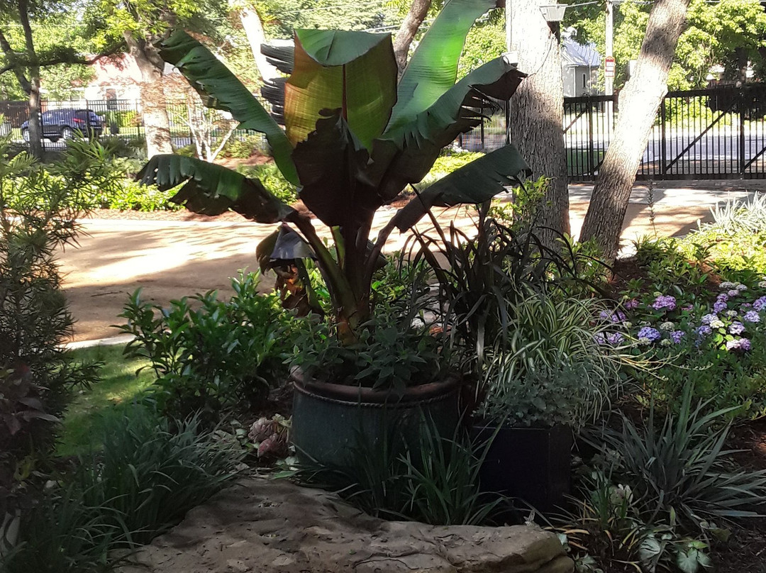 Grapevine Botanical Garden-葡萄藤必去景点