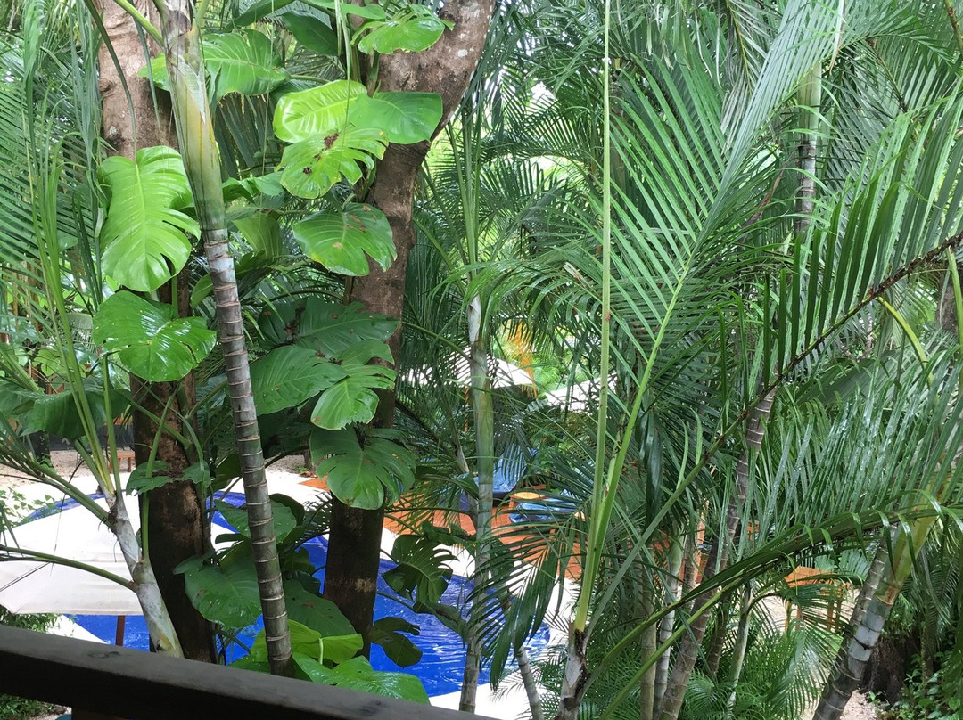 The Sunset Shack主图