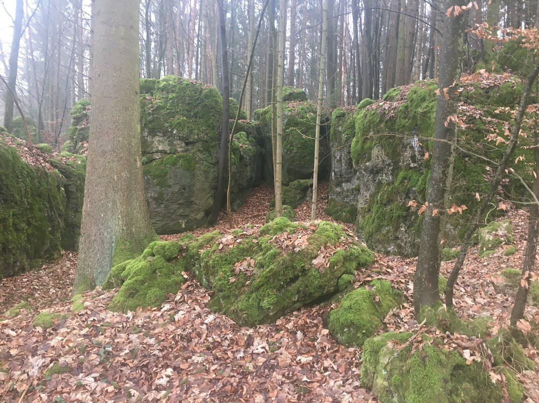Druidenhaine景点图片