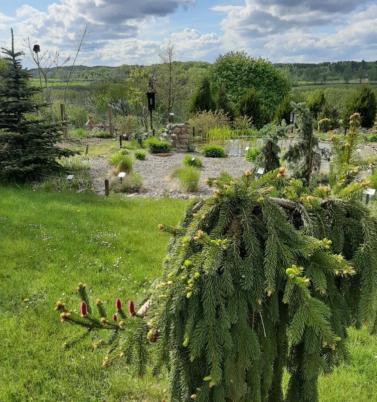 Golubieński Botanical Garden景点图片