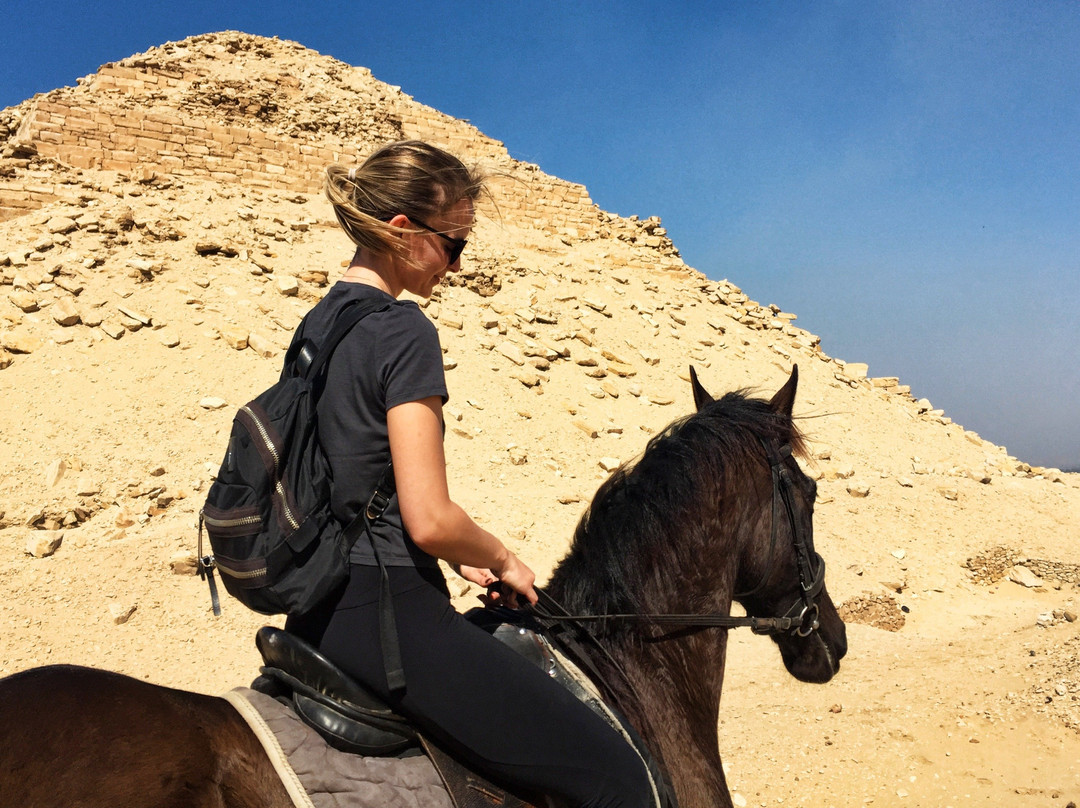 Egypt Horse Riding & Photography景点图片