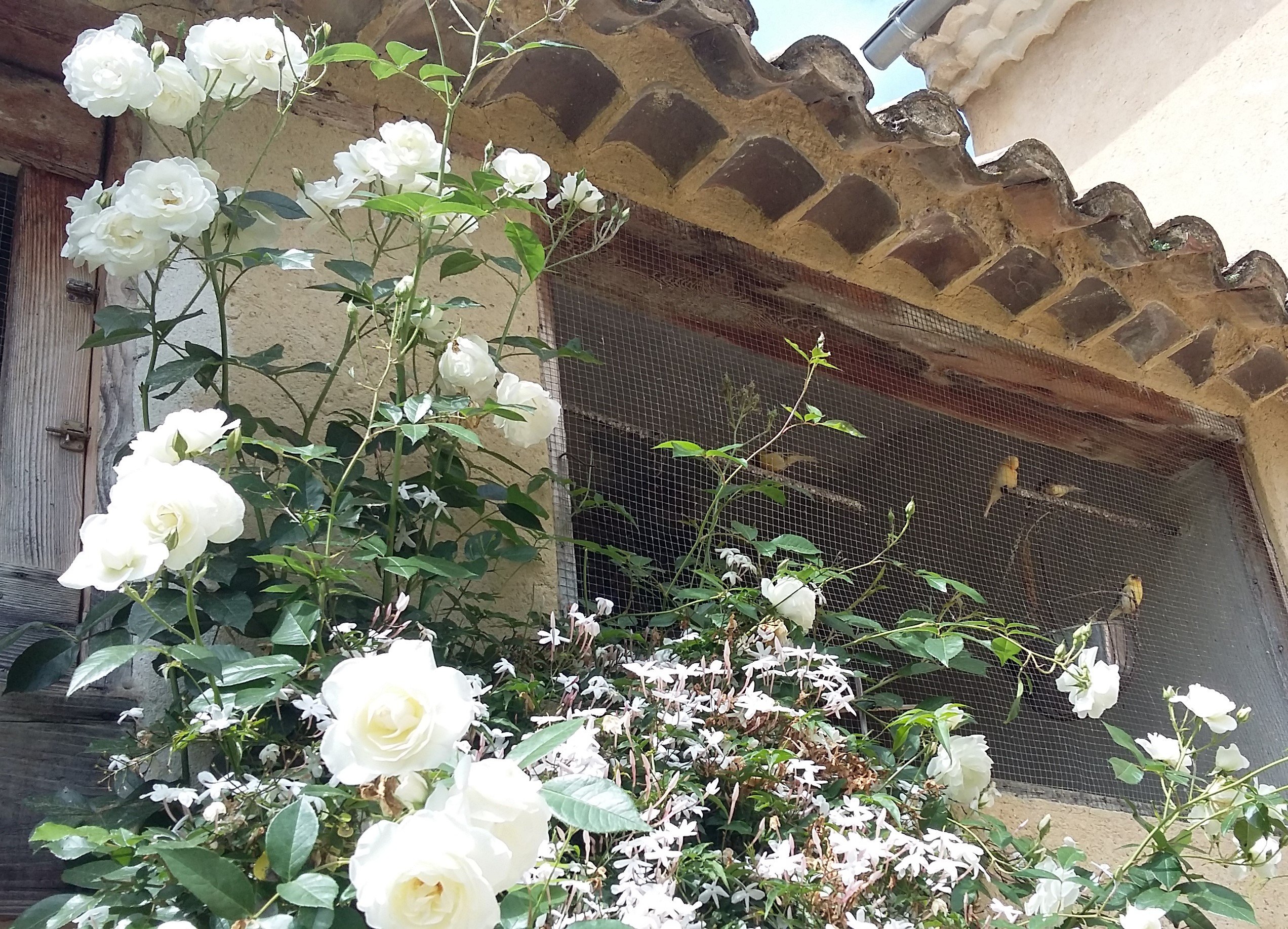 L'Ecole Buissonniere Provence-官方